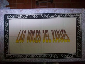 Bandera estampada
